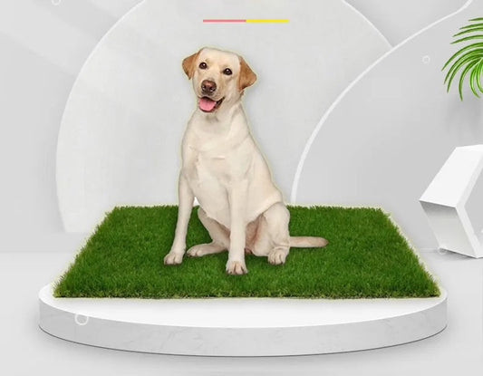 Hochwertige Indoor- und Outdoor-Hundgrasmatte mit Auslaufschutz für Komfort und Bequemlichkeit