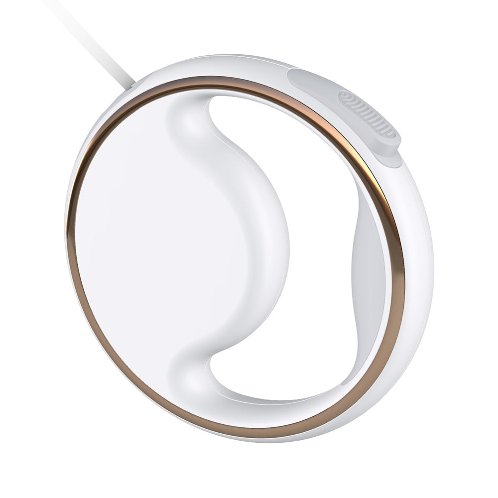 Wiederaufladbare USB reflektierende Hundeleine für Komfort und Sicherheit