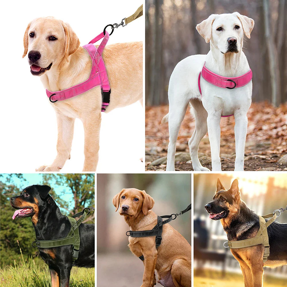Bequemer Nylon-Trainingsgeschirr für kleine und mittelgroße Hunde
