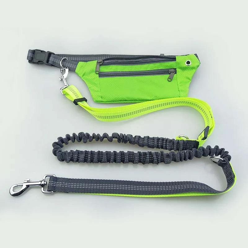 Bequeme Laufleine für Hunde
