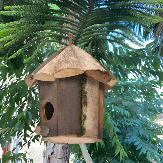 Domus - Charmantes rustikales Vogelhaus aus Holz mit Kolibri-Design