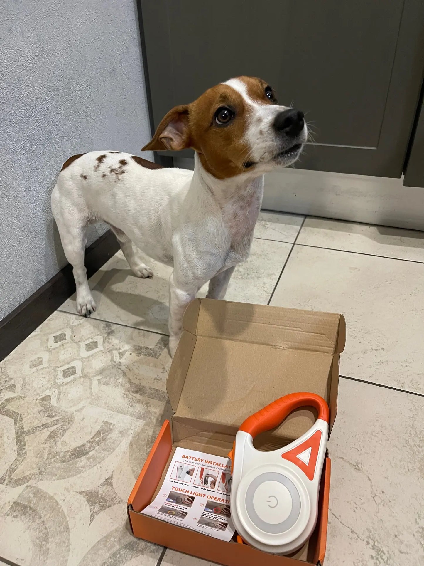 Ultimative Hundesicherheit: LED-Beleuchtung und 5m Reichweite für nächtliche Spaziergänge