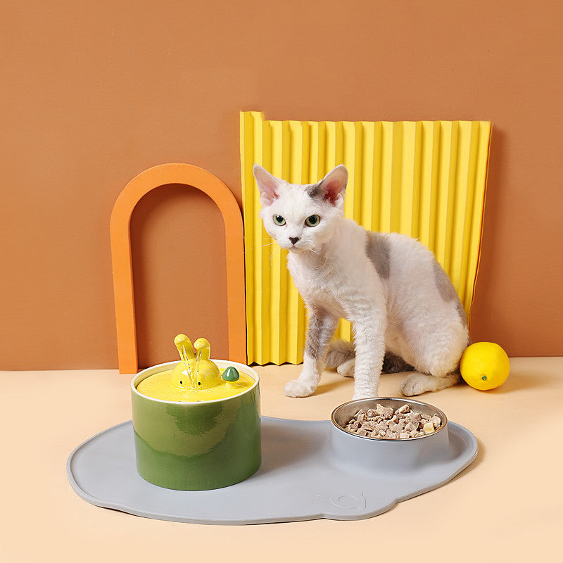 Stilvoller Wasserspender für einen gesunden und glücklichen Hasen