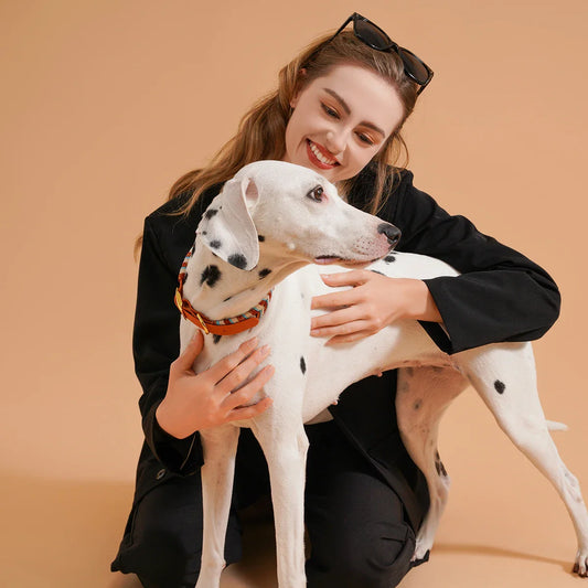 Lebendige und coole Hundehalsbänder für jeden abenteuerlustigen Hund