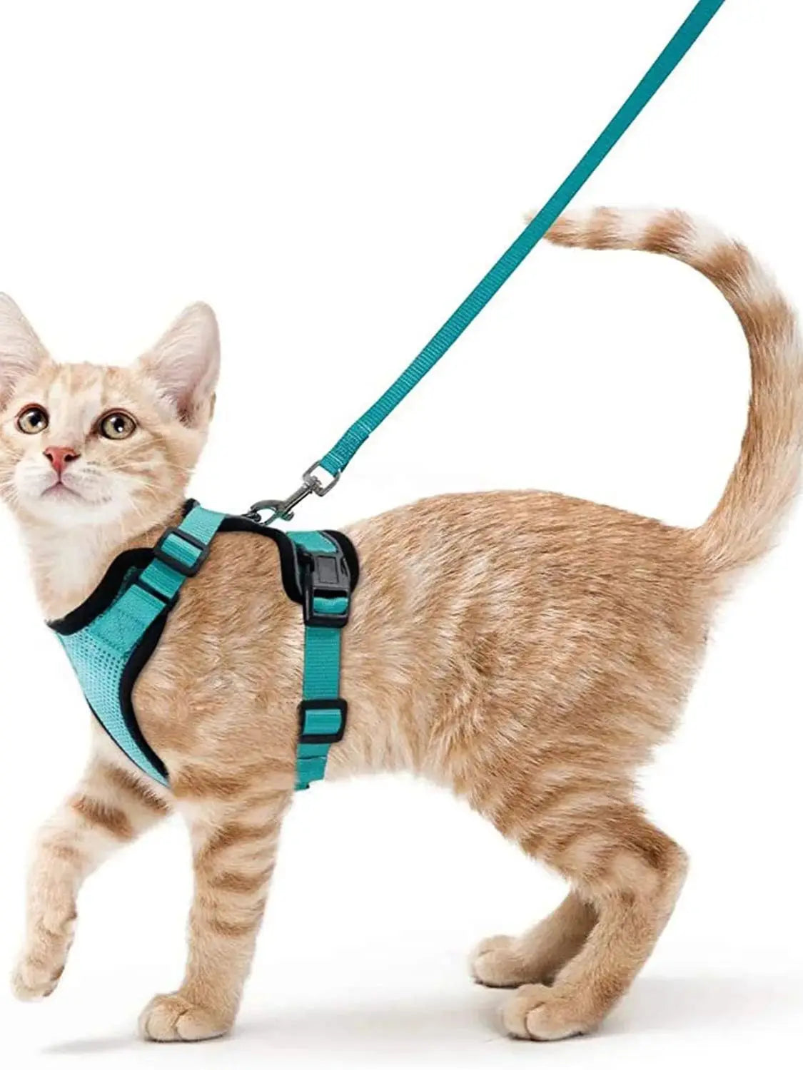 Bequemer und sicherer Laufgeschirr für Katzen