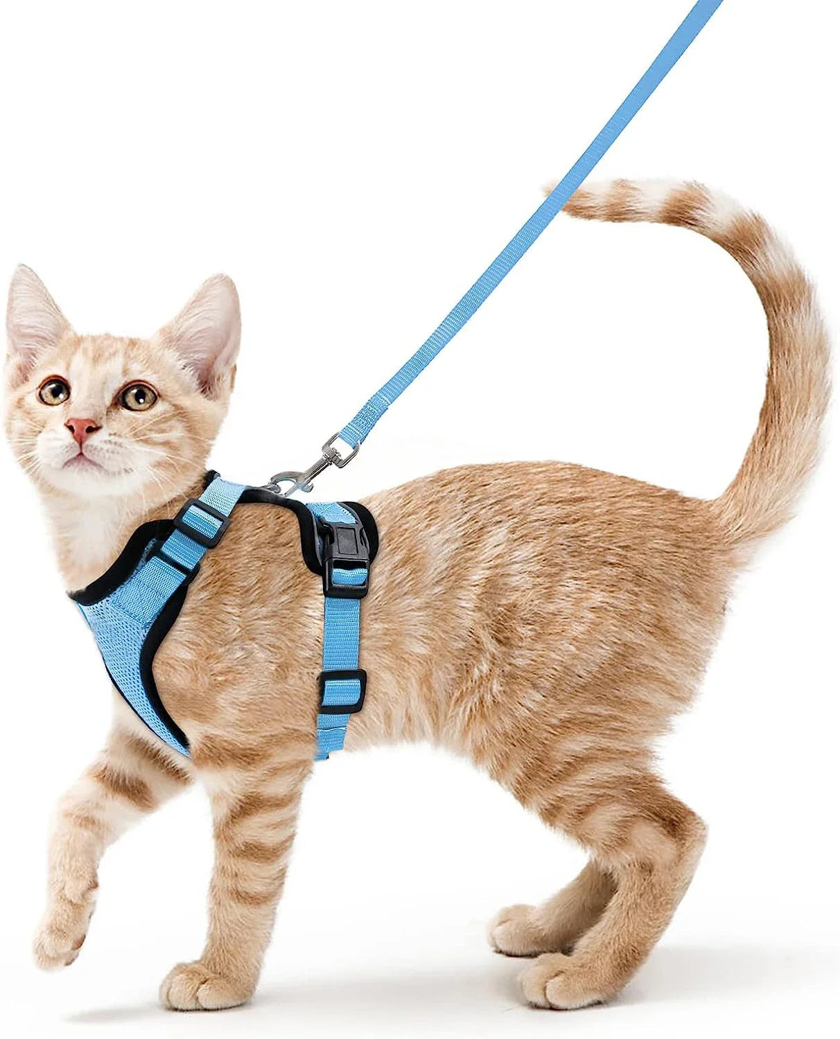 Bequemer und sicherer Laufgeschirr für Katzen