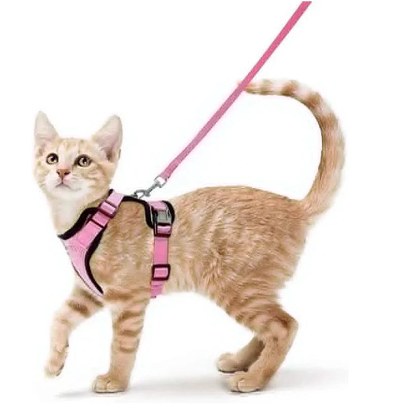 Bequemer und sicherer Laufgeschirr für Katzen
