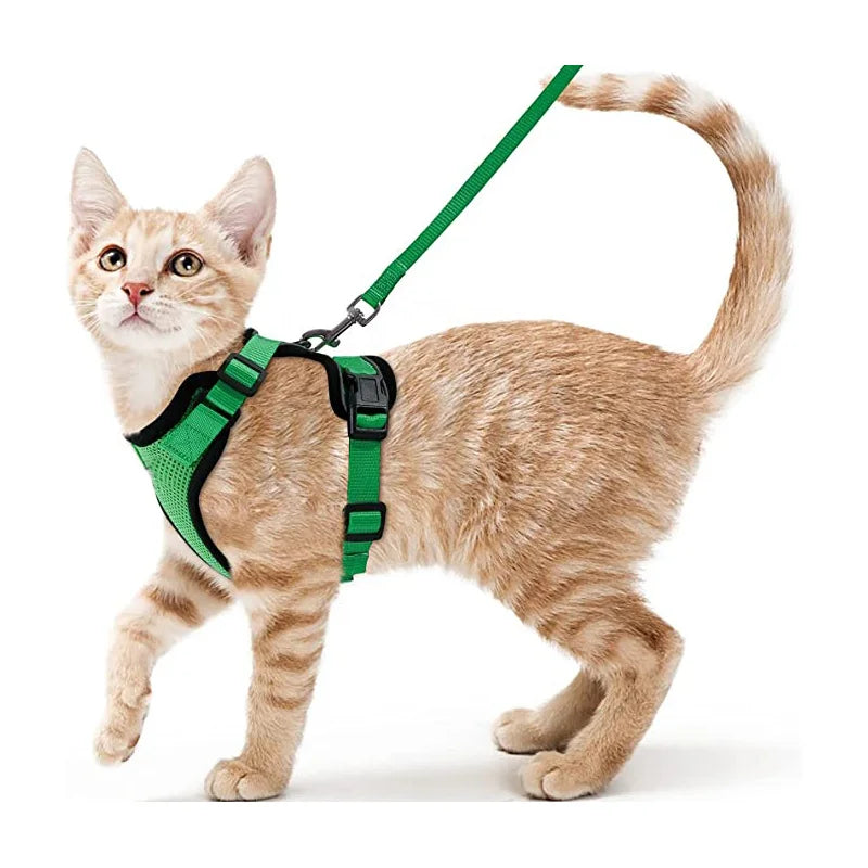 Bequemer und sicherer Laufgeschirr für Katzen