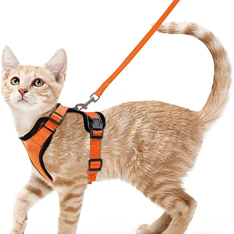 Bequemer und sicherer Laufgeschirr für Katzen