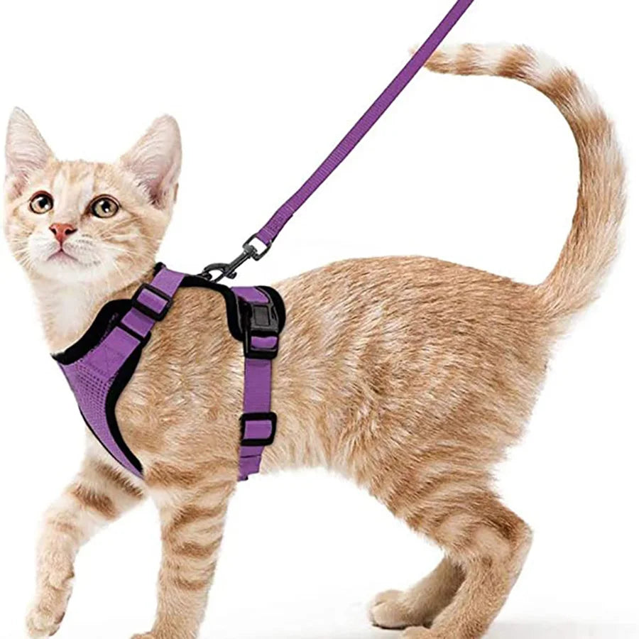 Bequemer und sicherer Laufgeschirr für Katzen