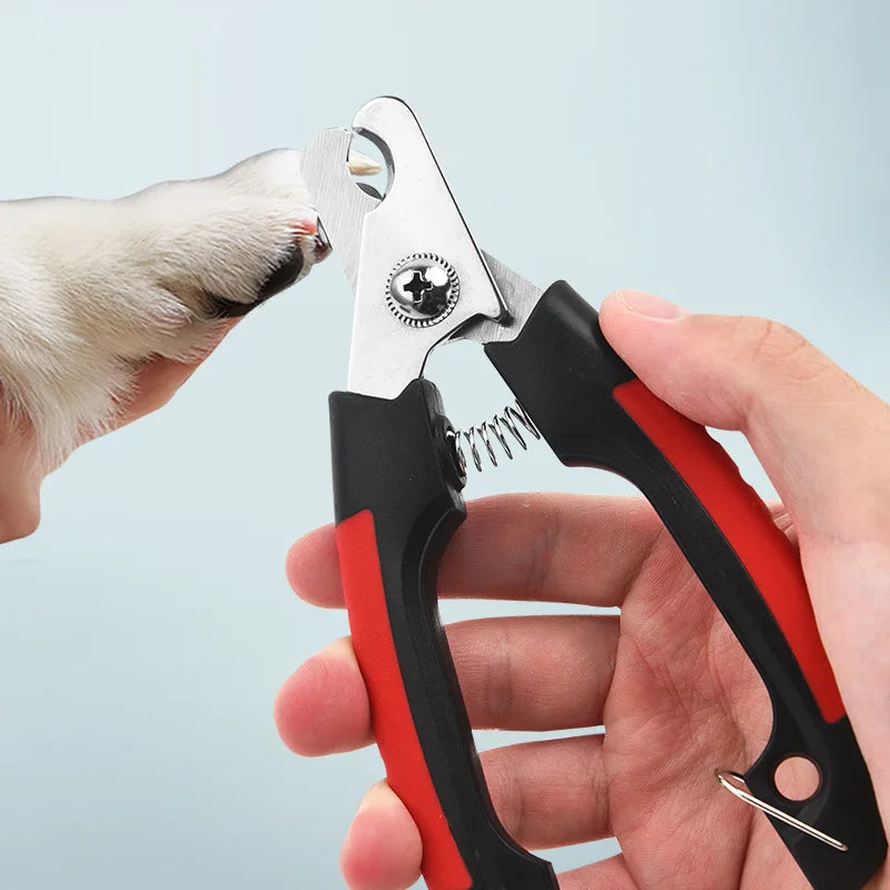 Professioneller Haarschneider für Hunde und Katzen für einen perfekten glatten Look