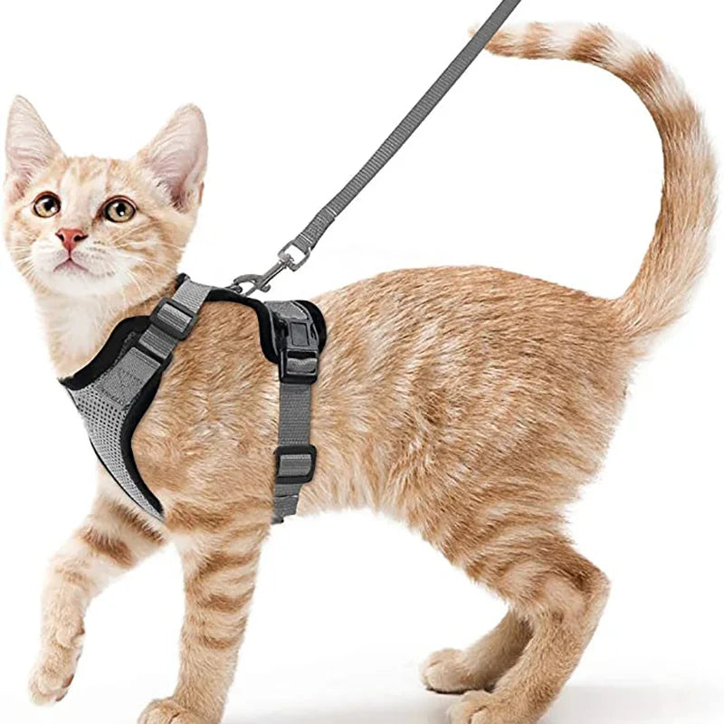 Bequemer und sicherer Laufgeschirr für Katzen