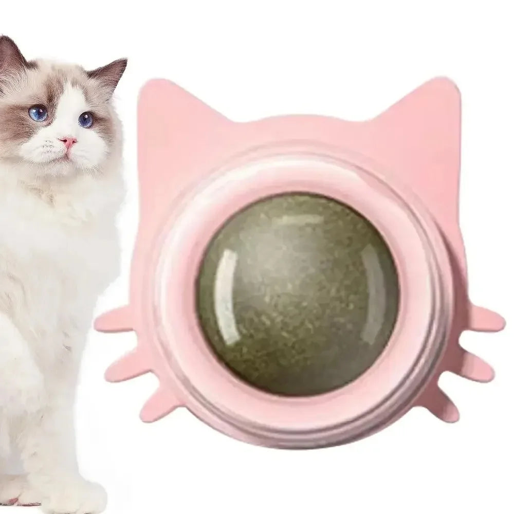 Katzen-Spielball für einen gesunden Magen und mehr Fröhlichkeit