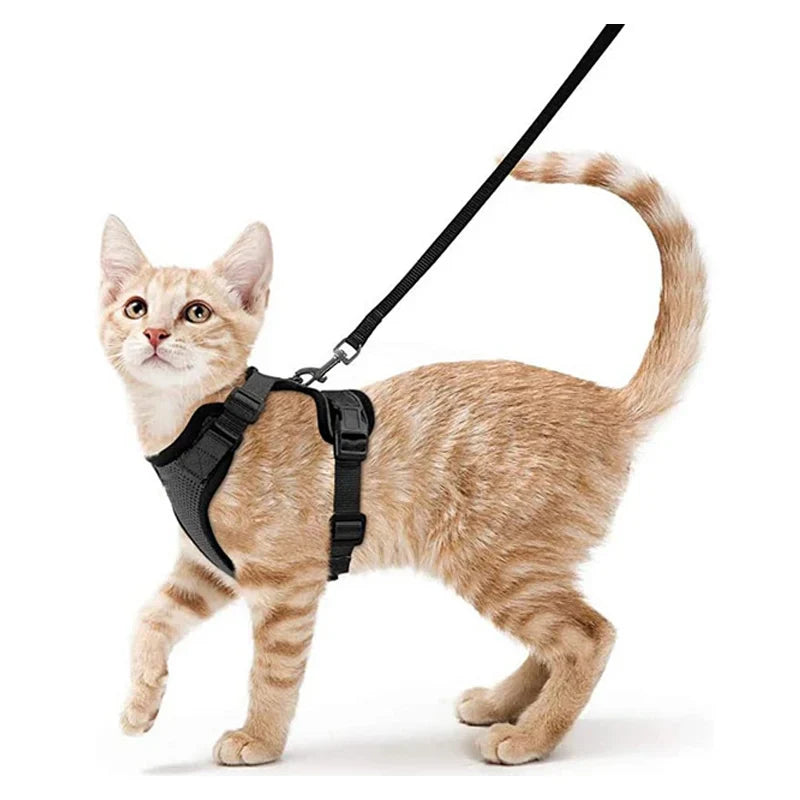 Bequemer und sicherer Laufgeschirr für Katzen