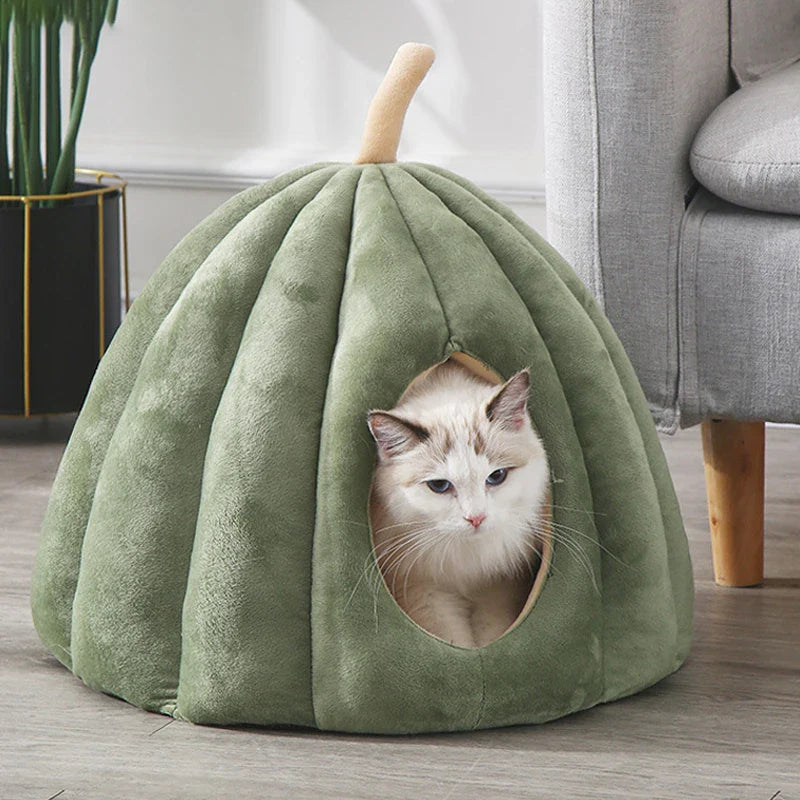 Gemütliches geschlossenes Katzenbett für warme Wintertage