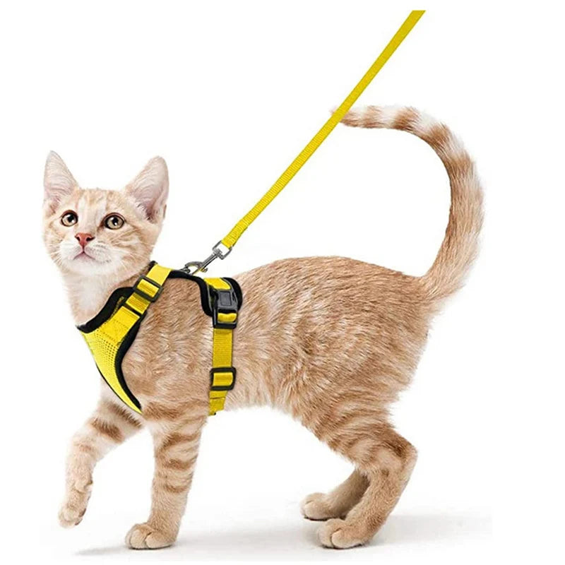 Bequemer und sicherer Laufgeschirr für Katzen