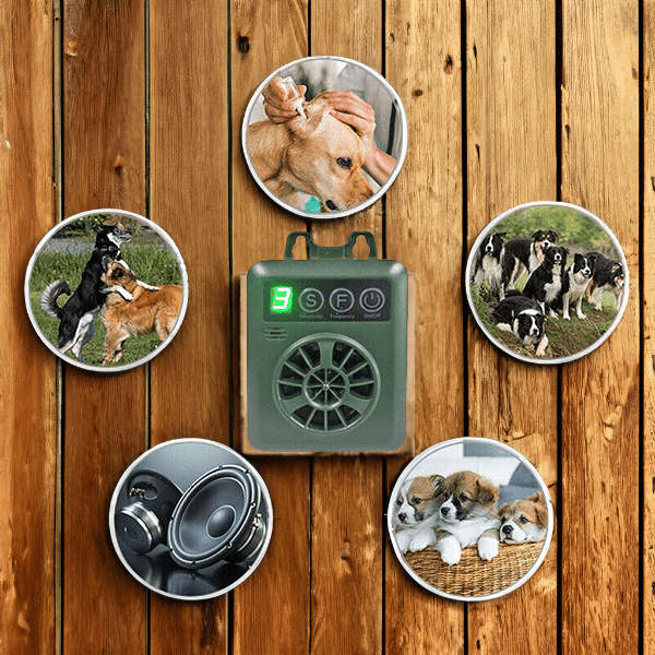 Sicheres und zuverlässiges Anti-Anruf-Kundensicherheitssystem