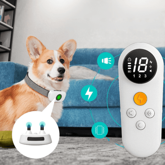 Ultimatives Anti-Bell-Gerät für Frieden zu Hause