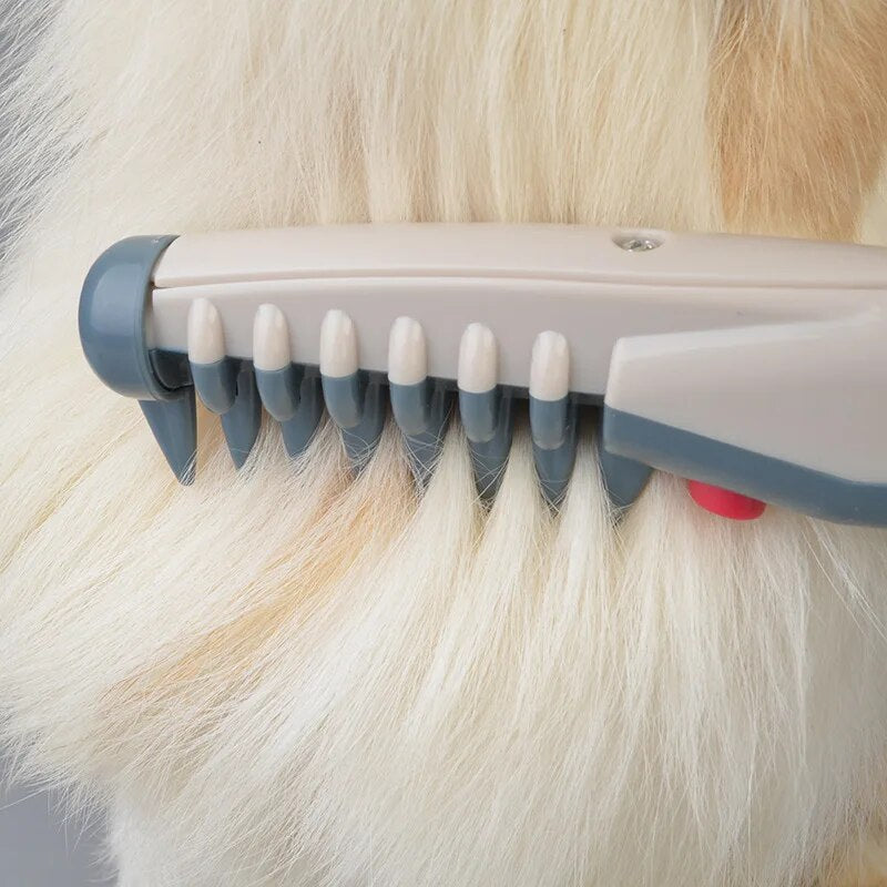 Stilvoller elektrischer Tierfell-Trimmer für sorgenfreies und müheloses Schneiden