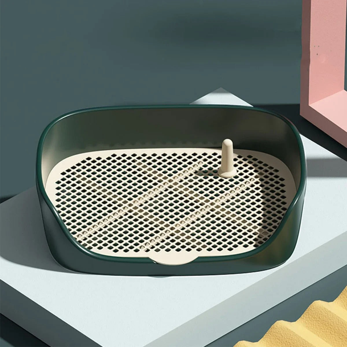 Bringen Sie Ihrem Hund das Töpfchentraining bei