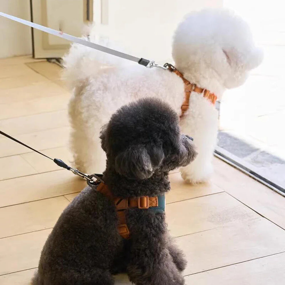 Niedliches und verstellbares Geschirr & Riemen für Komfort und Sicherheit