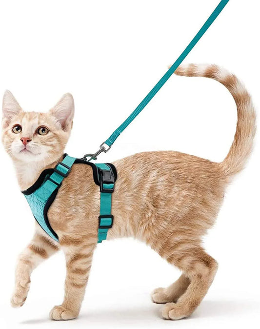 Bequemer und sicherer Laufgeschirr für Katzen
