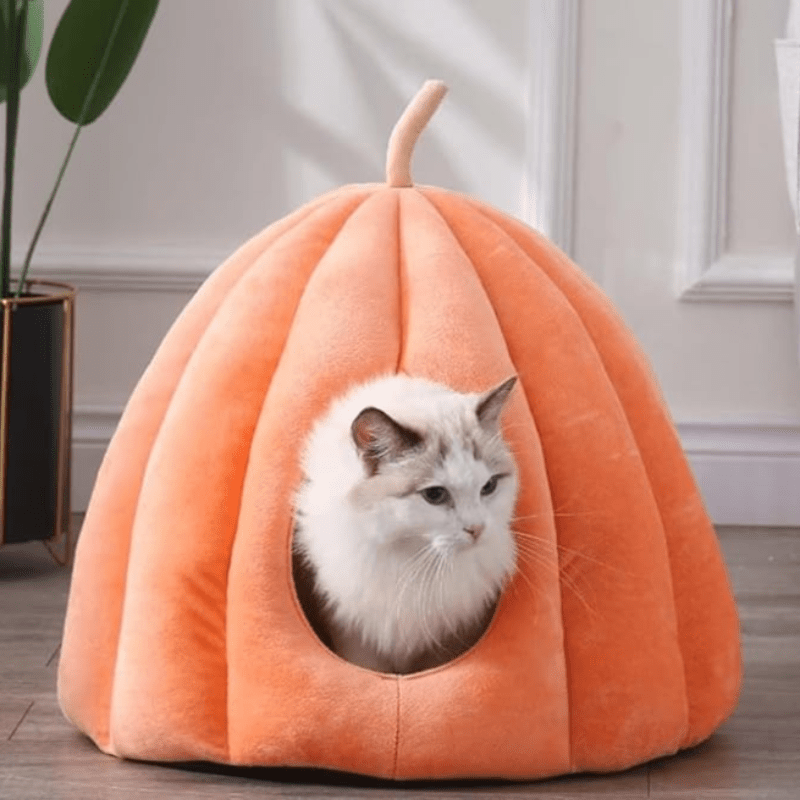 Gemütliches geschlossenes Katzenbett für warme Wintertage
