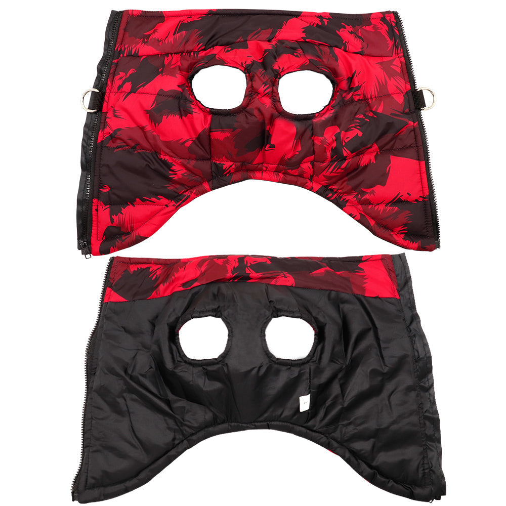 Stilvoller und gemütlicher Winterkomfort für Haustiere