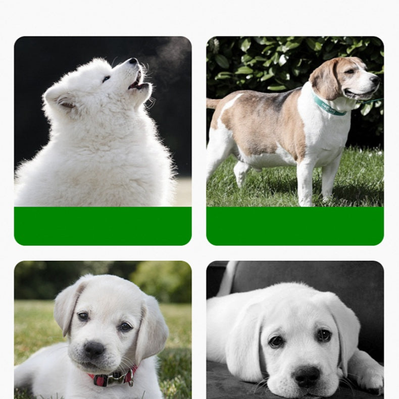 Bequeme und flexible Silikon-Fütterungsmatte für einfaches Essenszeitmanagement